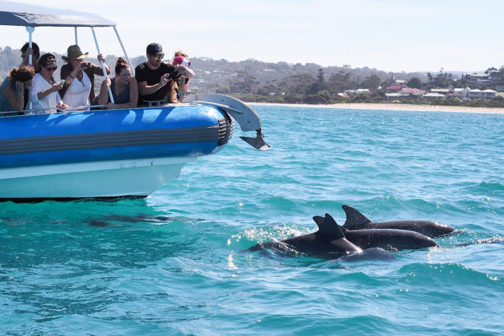 Southern Ocean Adventure