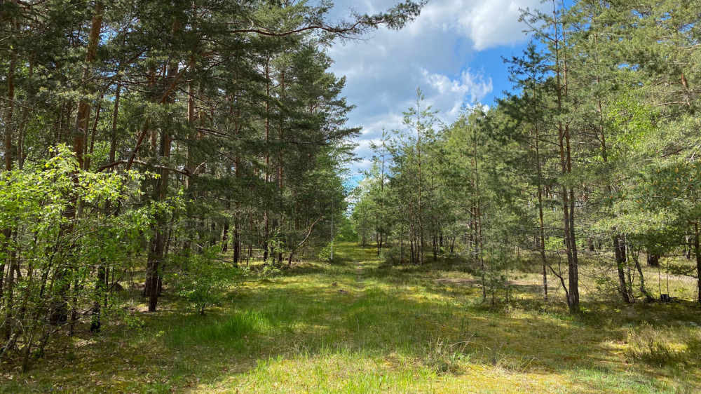 Halbe Pocket WW2 Battlefield Tour