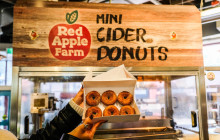 Underground Donut Tour10