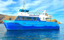 Odisseia Viva Lda8