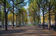 Holland City Tours15