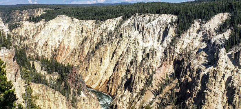 Yellowstone Lower Loop Tour with Private Option
