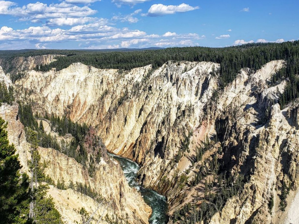 Yellowstone Lower Loop Tour with Private Option