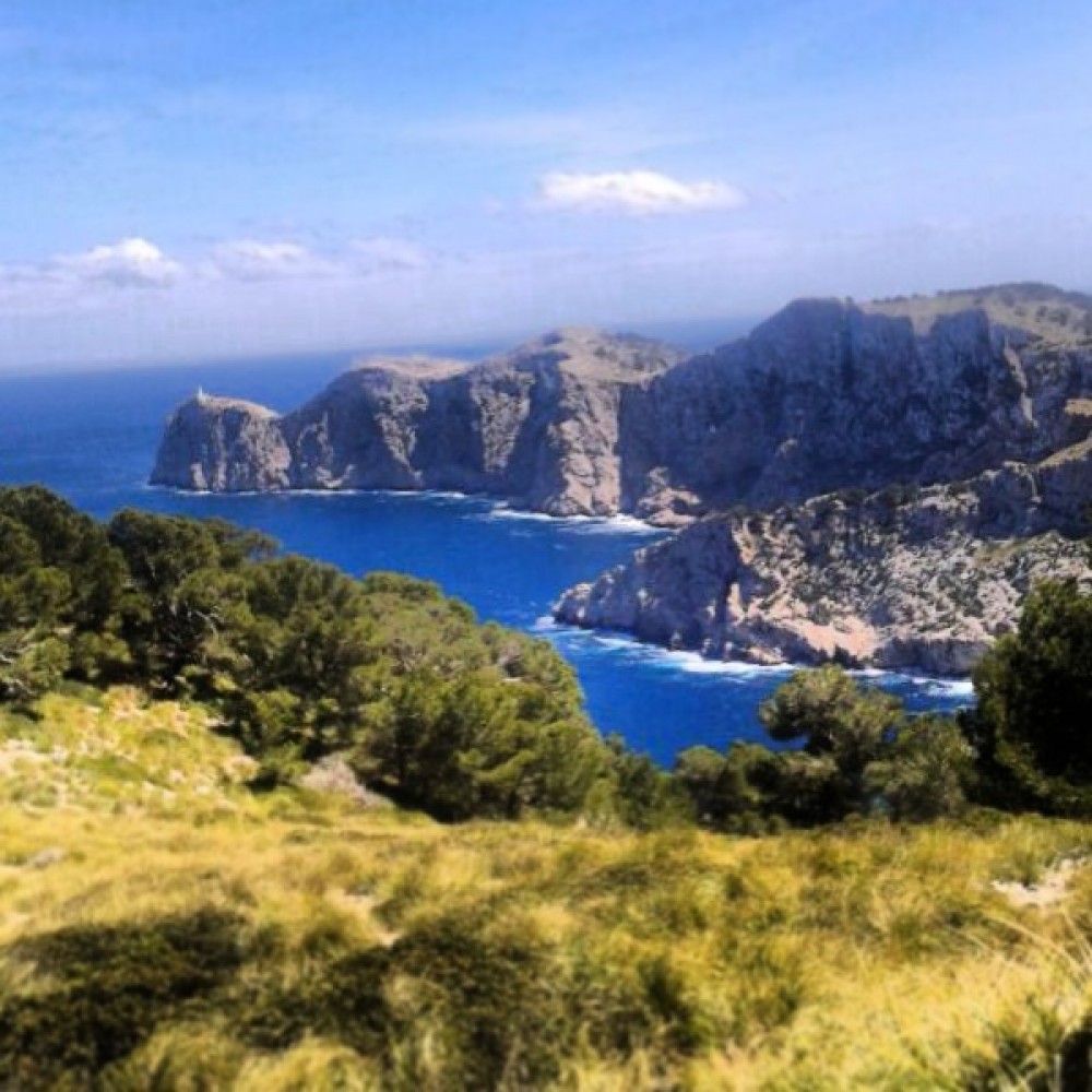 8-hour Formentor and Puerto Pollensa Tour, Mallorca