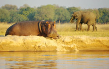 Bundu Safaris Ltd3