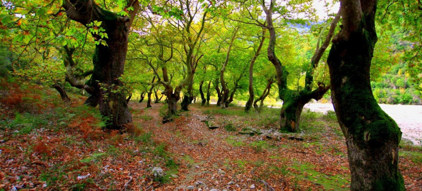 8 Day Guided Hidden Valley Trek with Transfers and Accommodation