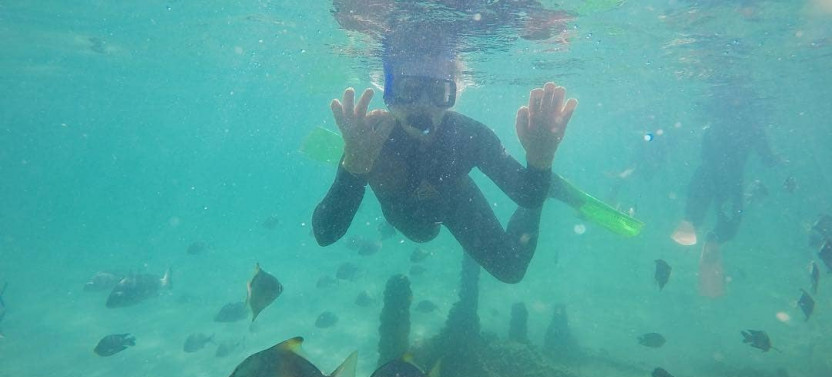 Moreton Island Get Wrecked 1-Day Tour