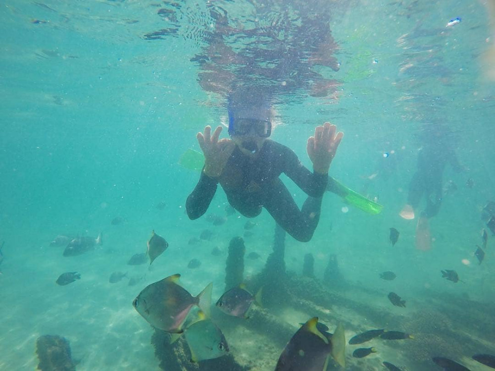Moreton Island Get Wrecked 1-Day Tour