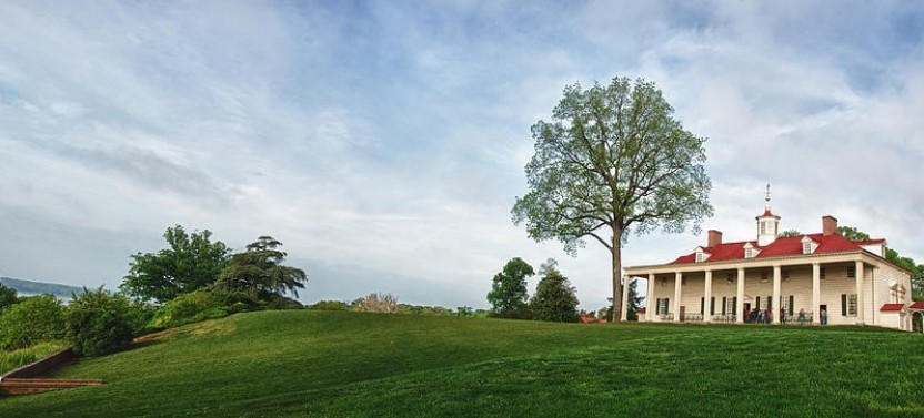 Old Town Alexandria + Mount Vernon Driving Tour
