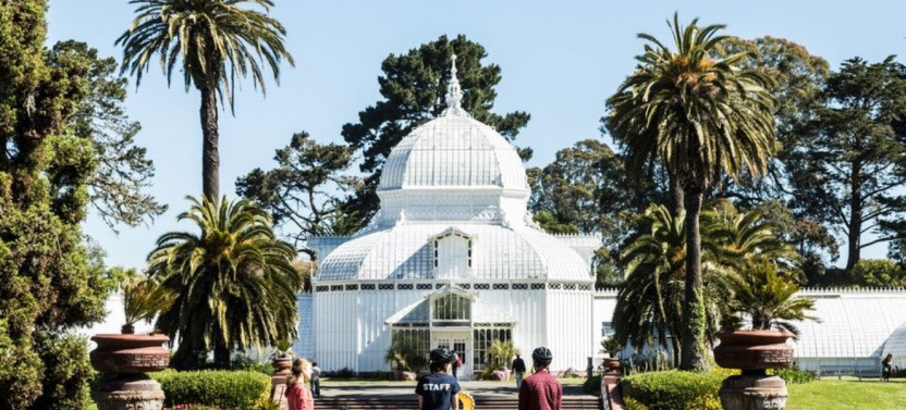 Private Guided Golden Gate Park Bike Tour