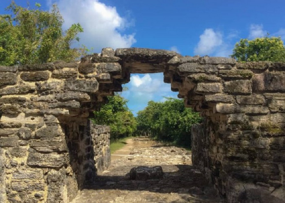 Your Day, Your Way: Private Cozumel Tour