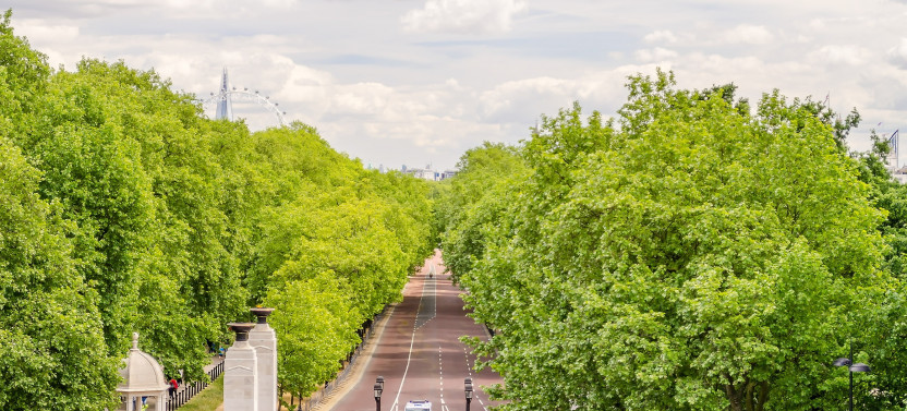 Royal Tour w/ Buckingham Palace Entry - Guided Tour - Private