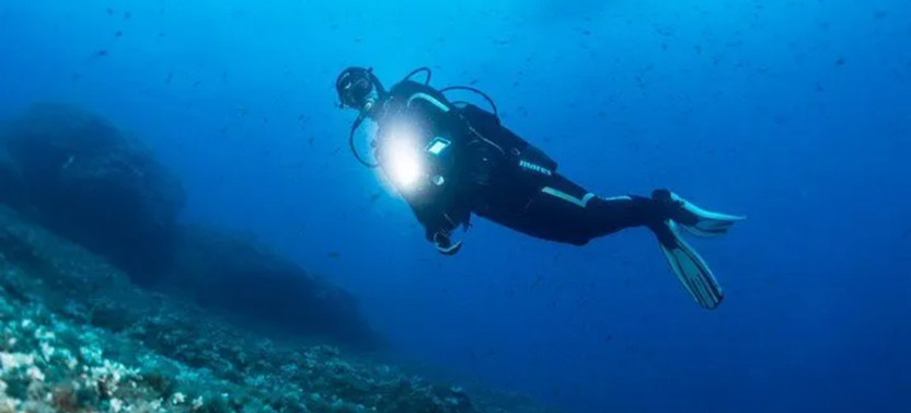 Night Diving in Negombo