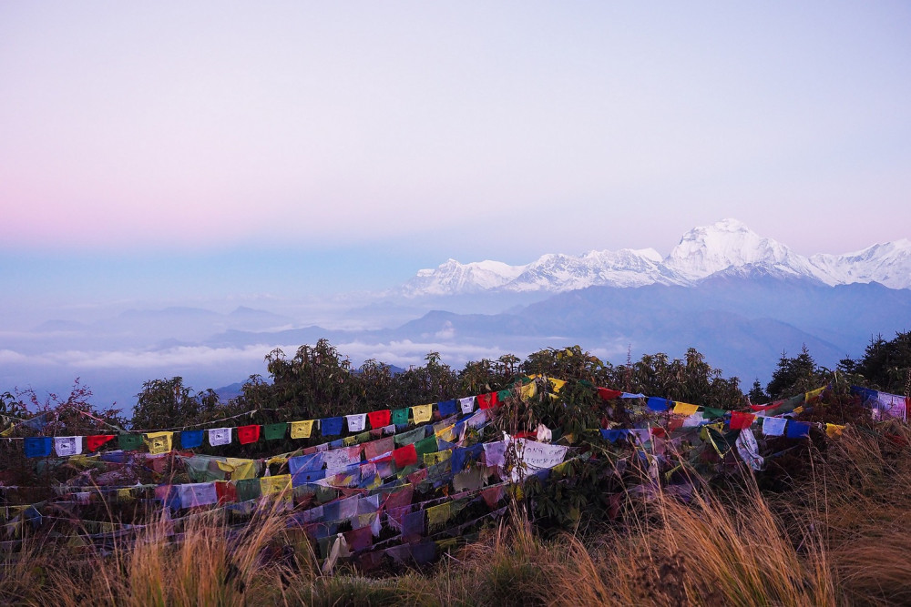 12 Day Annapurna Panorama Trek With Chitwan Jungle Safari