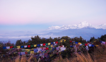 A picture of 12 Day Annapurna Panorama Trek With Chitwan Jungle Safari