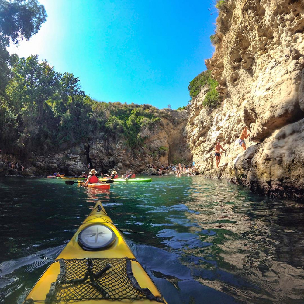 Daily Kayak Tour (2 Hours)