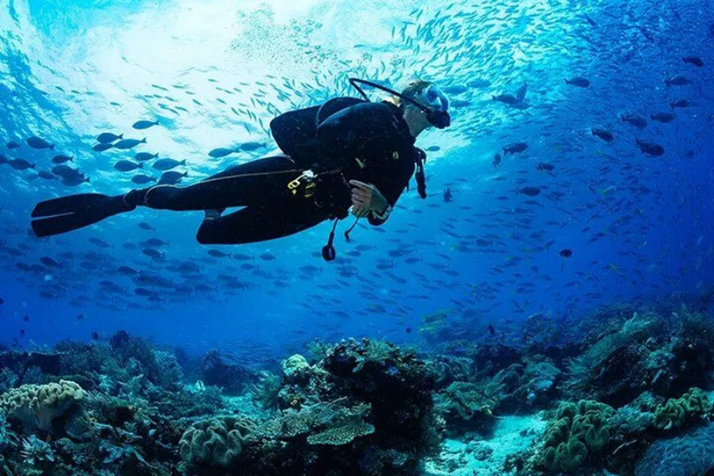 Scuba Diving in Colombo