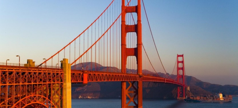 Muir Woods & Sausalito Tour