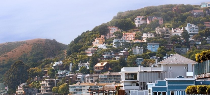 Muir Woods + Sausalito + Alcatraz