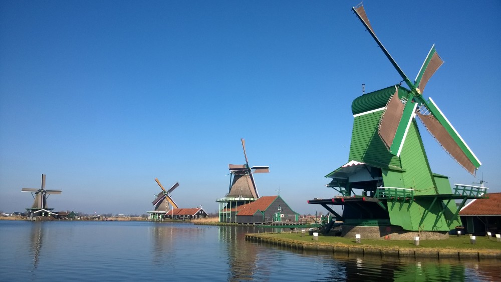 Private Day Tour of Tulips and Windmills with Lunch