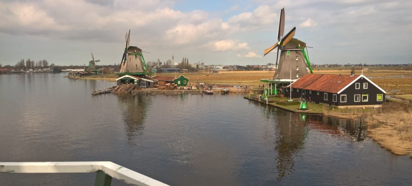 Small-Group Tulips + Windmills Tour from Amsterdam