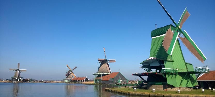 Small-Group Tulips + Windmills Tour from Amsterdam