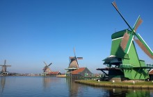Small-Group Tulips + Windmills Tour from Amsterdam