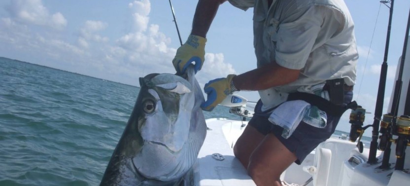 Boca Grande Tarpon Fishing Trip