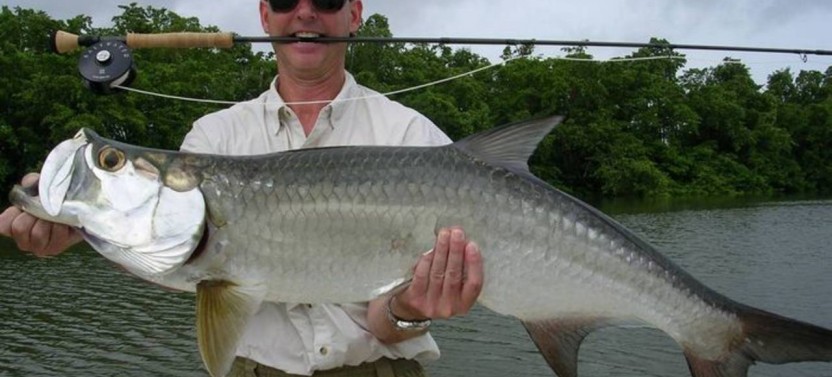 Boca Grande Tarpon Fishing Trip
