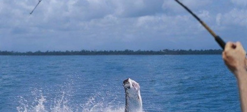 Boca Grande Tarpon Fishing Trip