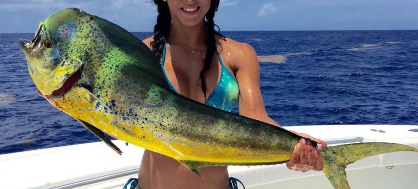 Boca Raton Offshore Fishing Trip