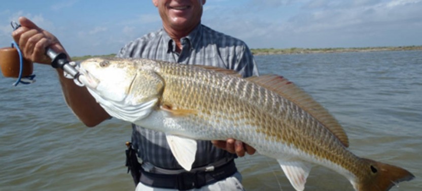Clearwater Inshore Fishing Trip - 4 Hr