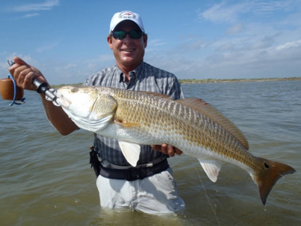 Clearwater Inshore Fishing Trip - 4 Hr