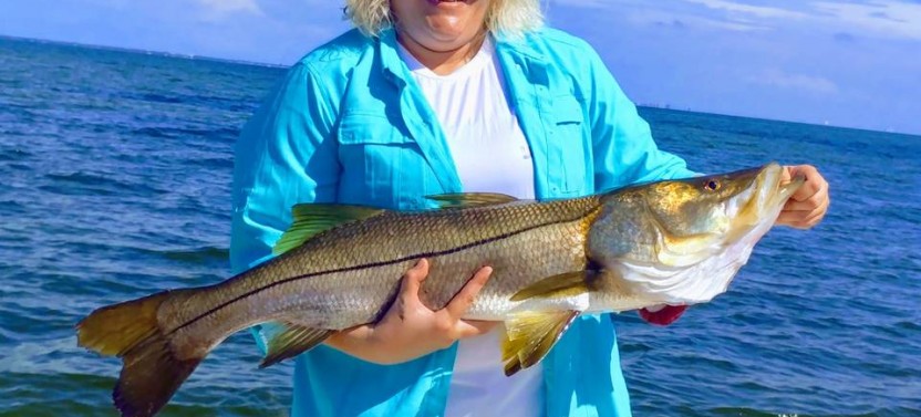 Clearwater Inshore Fishing Trip - 4 Hr