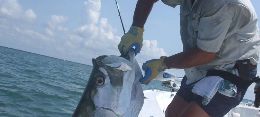 Clearwater Inshore Fishing Trip - 4 Hr
