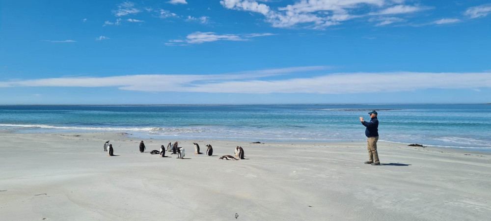 Coastal Gems Tour: Gypsy Cove and Yorke Bay Penguin Visit