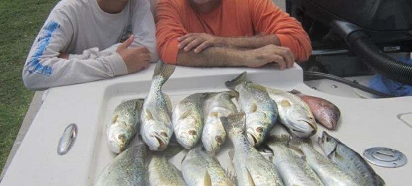 Crystal River Inshore Fishing Trip - 4 Hr