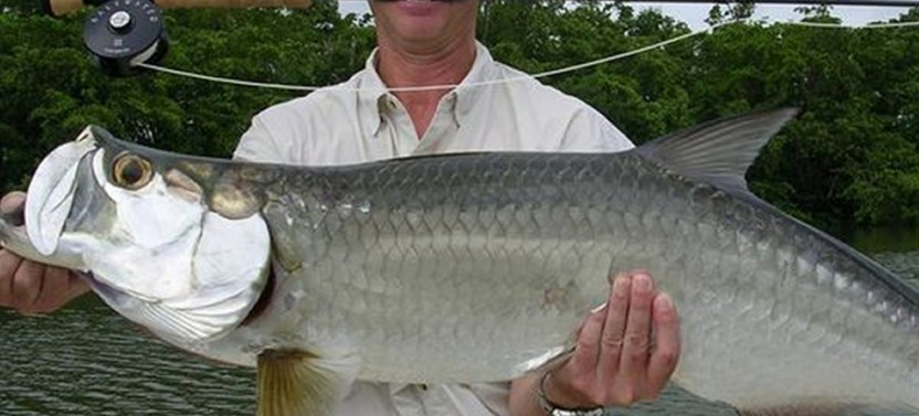 Daytona Inshore Fishing Trip - 4 Hr