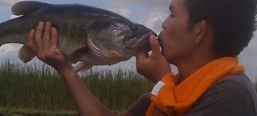 Everglades Bass Fishing 8 Hour Trip
