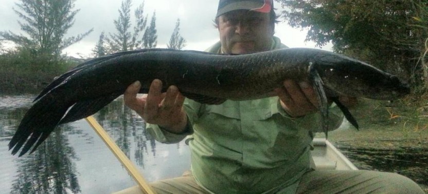 Markham Park 4 Hour Fishing Trip
