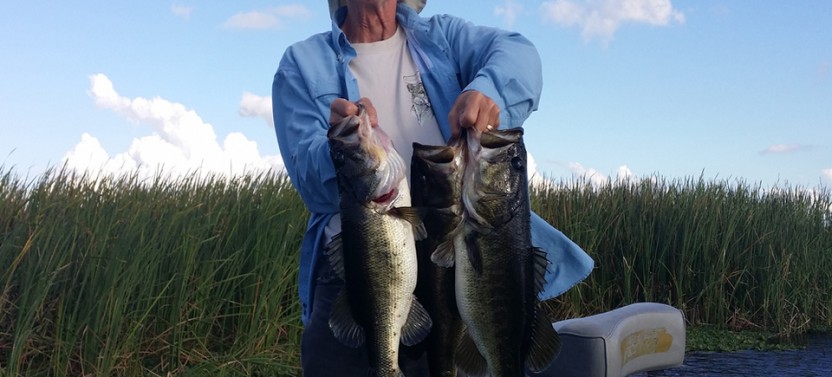 Everglades Mile Marker 35 - 4 Hour Trip