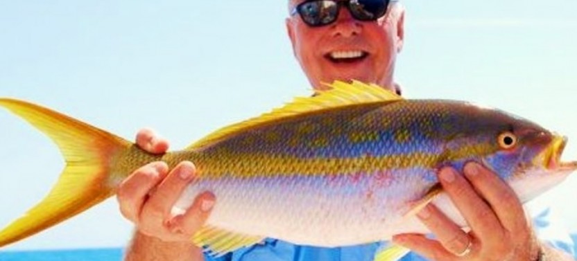 Ft Lauderdale Offshore 6 Hour Fishing Trip