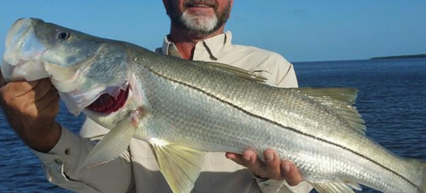 Fort Pierce Inshore Fishing Trip - 4 Hr