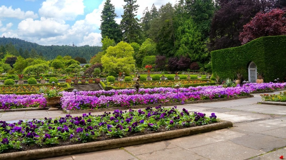 Butchart Gardens