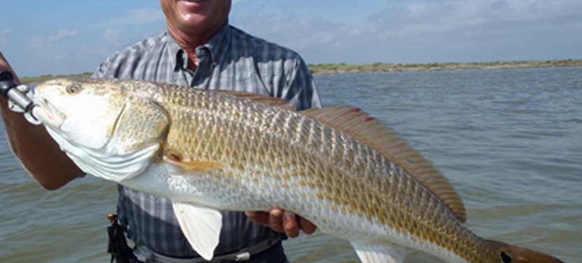 Jacksonville Inshore Fishing Trips - 4 Hr
