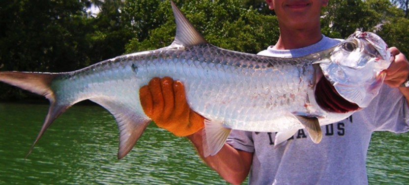 Jupiter Inshore Fishing Trip - 4 Hr