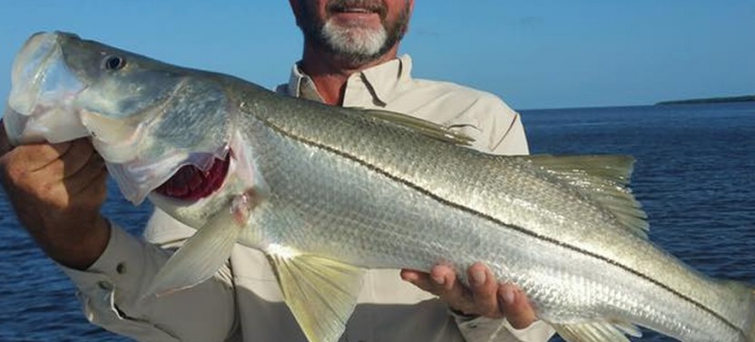 Jupiter Inshore Fishing Trip - 6 Hr