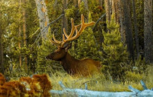 Good Trip Adventures - Rocky Mountains4