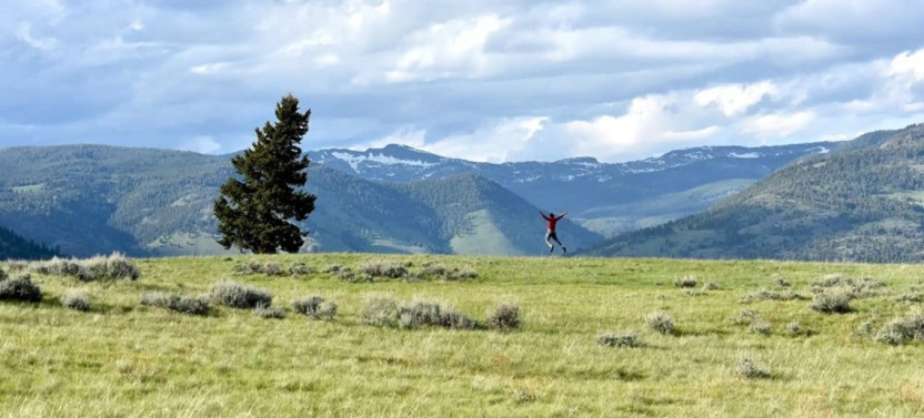 Small Group Full-Day Yellowstone Group Tour and Hike from Gardiner
