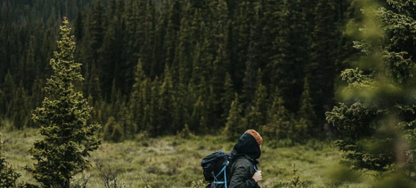 Full-Day Private Rocky Mountain National Park Hiking Tour